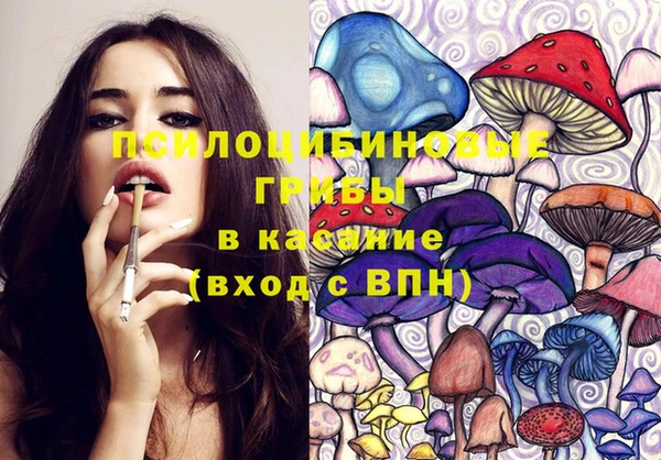 гидра Армянск