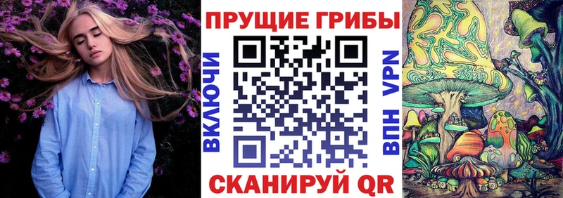 цены   Сорск  Галлюциногенные грибы Psilocybe 